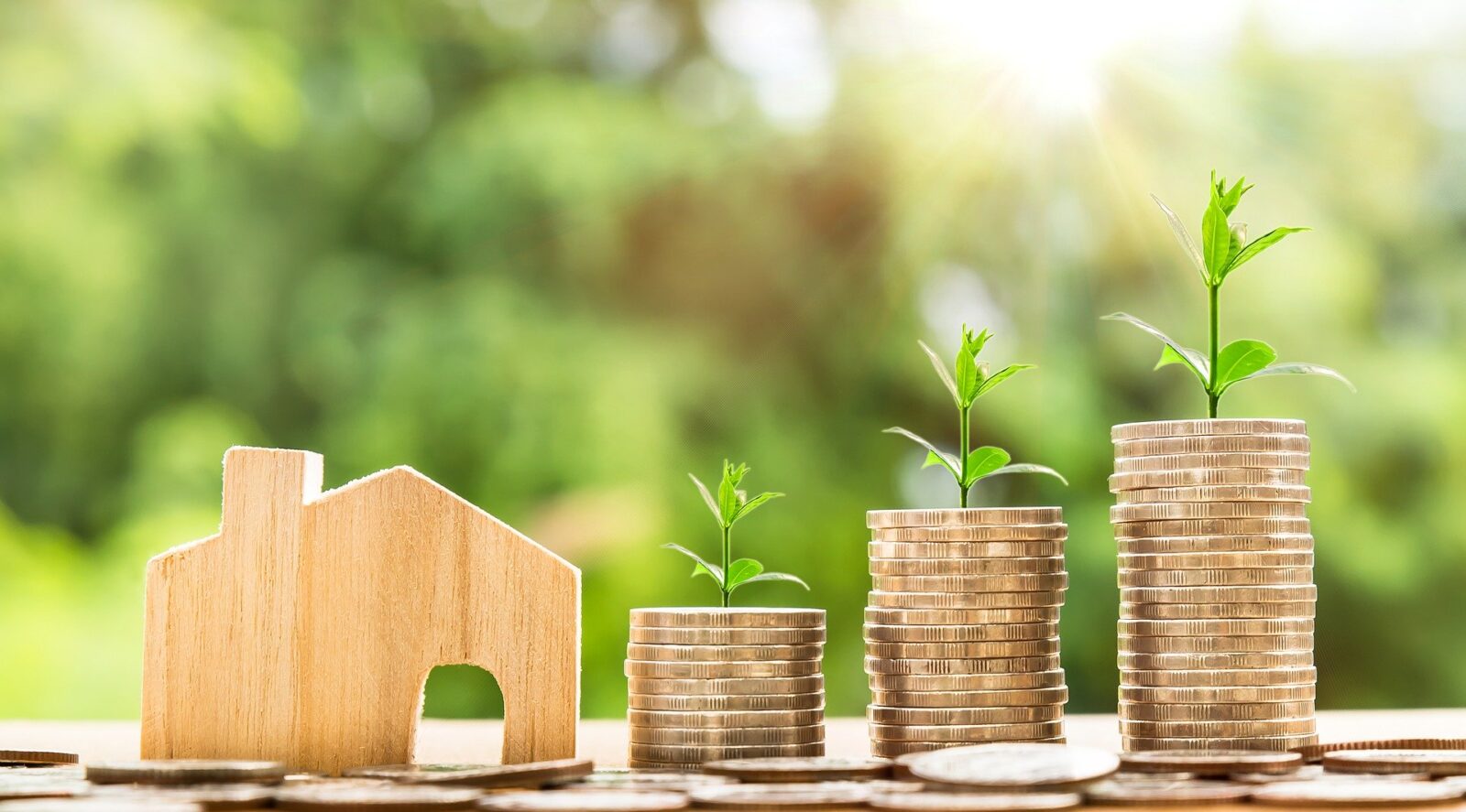 Estate Planning Services in Orange County